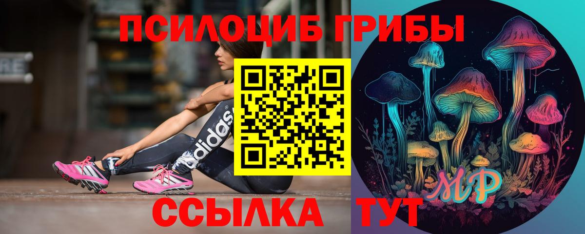 Анжеро-Судженск  Псилоцибиновые грибы Psilocybe  где можно купить наркотик  Вход с VPN 