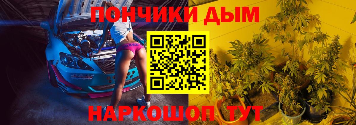 Бошки марихуана гибрид  Конопля OG Kush  Бошки марихуана MAZAR  Конопля AK-47  Анжеро-Судженск  Вход с VPN 